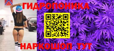 apvp Пугачёв