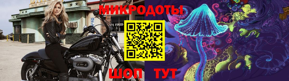Скопин  Галлюциногенные грибы Psilocybe  Псилоцибиновые грибы прущие грибы  Вход с VPN 
